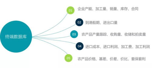 全國玉米、大豆、小麥價格數(shù)據(jù)及后期走勢分析——基于計算機(jī)軟件技術(shù)開發(fā)